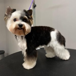 361121485_1939947269737993_2752527868809432208_n