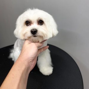 361750183_777522617492151_6514516083163006589_n