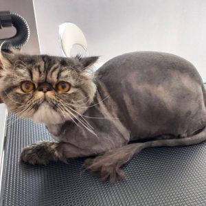 361945886_3513269445597160_458219196688891894_n