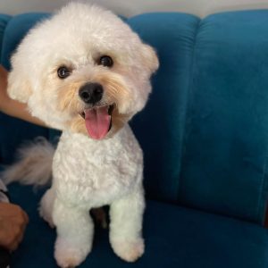 362506461_1433029097492374_4116086857428767590_n