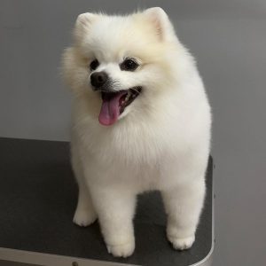 362924443_1208370577228451_7651847816878333323_n