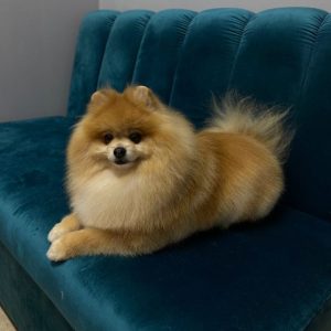 363805722_590741959877032_1822631887018028312_n