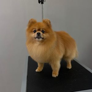 366372445_17854214415011173_8466657415479071297_n