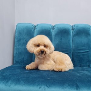 370781664_17857125630011173_8639124148658631459_n