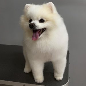 85593AB3-0D6C-4FC0-9F0C-76F1D4682EC3